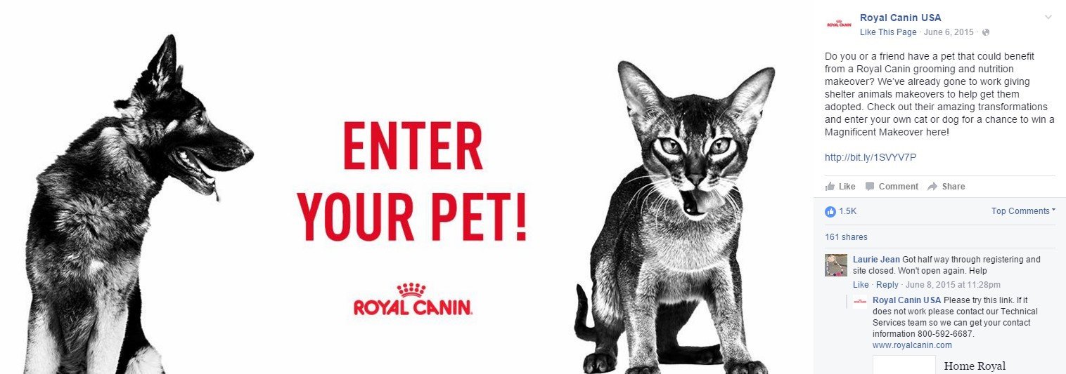 Cuộc thi của Royal Canin thu hút sự tương tác của khách hàng