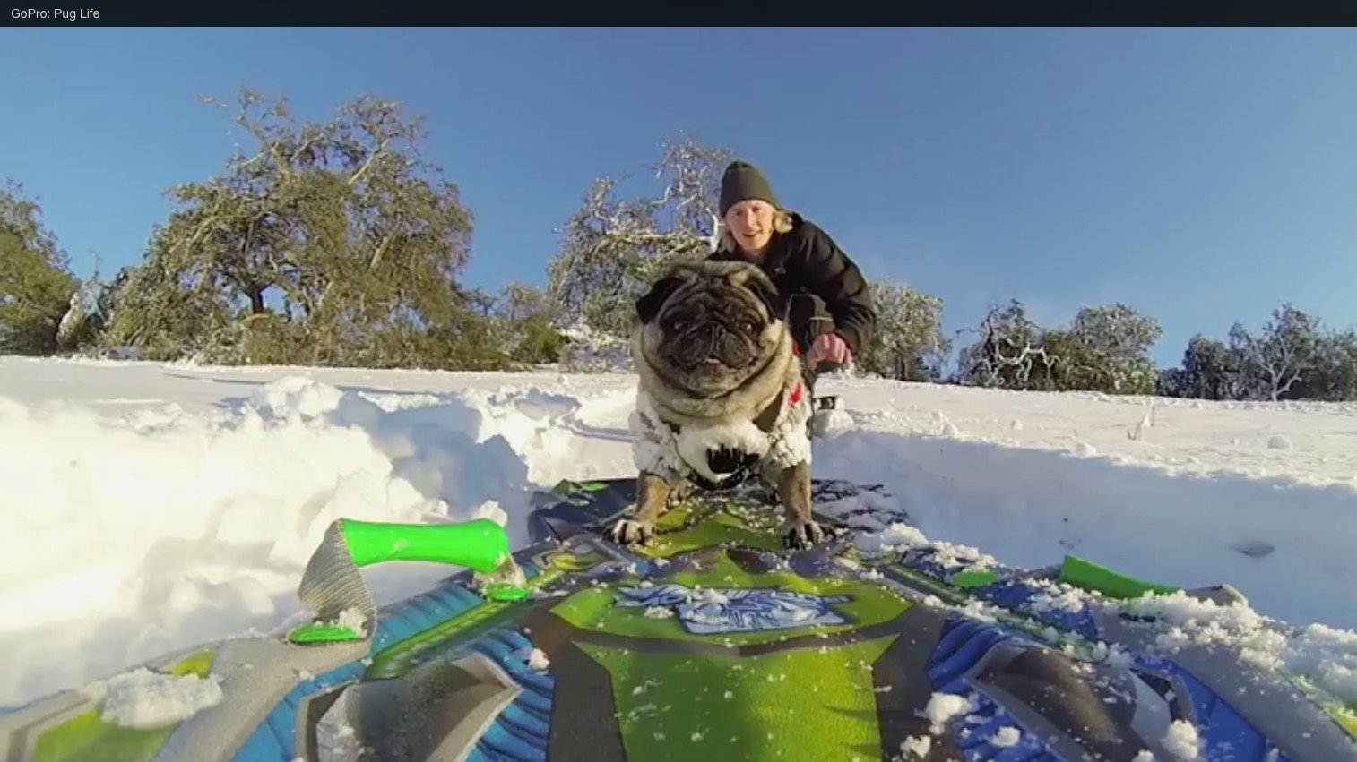Kênh YouTube GoPro, thể hiện chiến lược khuyến khích người dùng sáng tạo nội dung