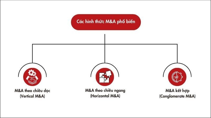 Minh họa các hình thức M&amp;A phổ biến trong kinh doanh