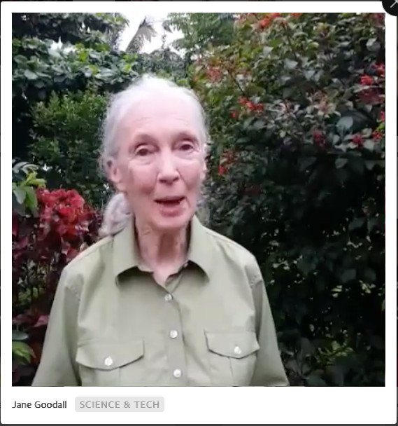 Video trực tiếp của Jane Goodall trên Facebook Live