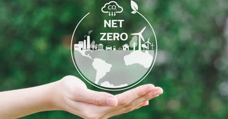 Biểu đồ minh họa khái niệm Net Zero và sự cân bằng phát thải carbon trong môi trường