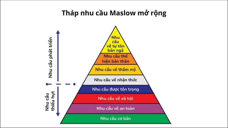 Biểu đồ tháp nhu cầu Maslow phiên bản mở rộng với 8 cấp bậc chi tiết