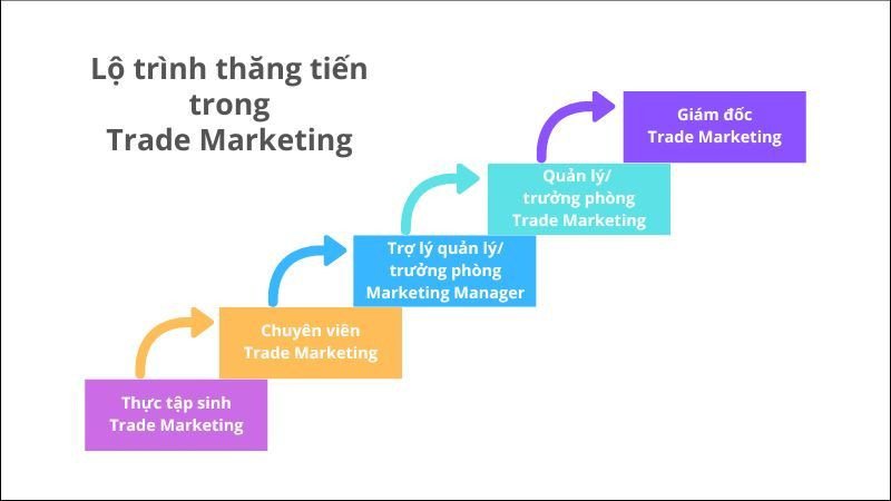 Biểu đồ thể hiện lộ trình phát triển sự nghiệp của Trade Marketer, từ thực tập sinh đến giám đốc