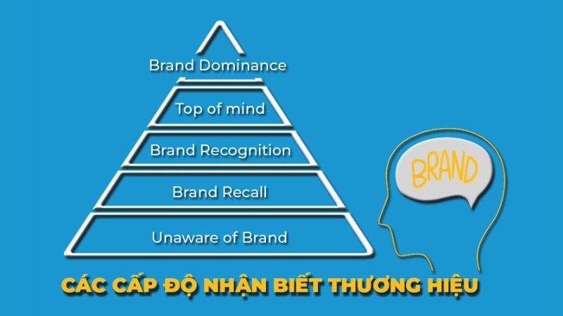 Các cấp độ của Brand Awareness thể hiện mức độ ghi nhớ của khách hàng