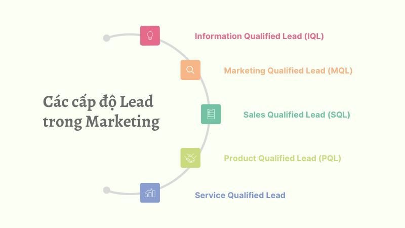 Các cấp độ của Lead từ IQL đến SQL trong Marketing