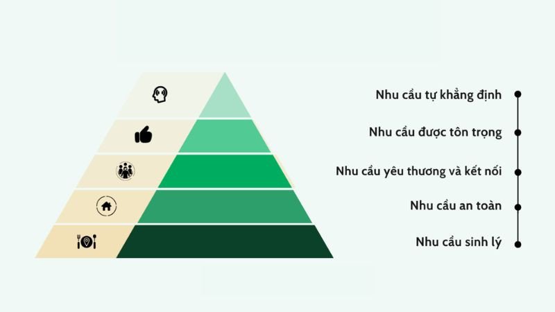 Chi tiết 5 cấp độ phân cấp trong tháp nhu cầu Maslow từ thấp đến cao