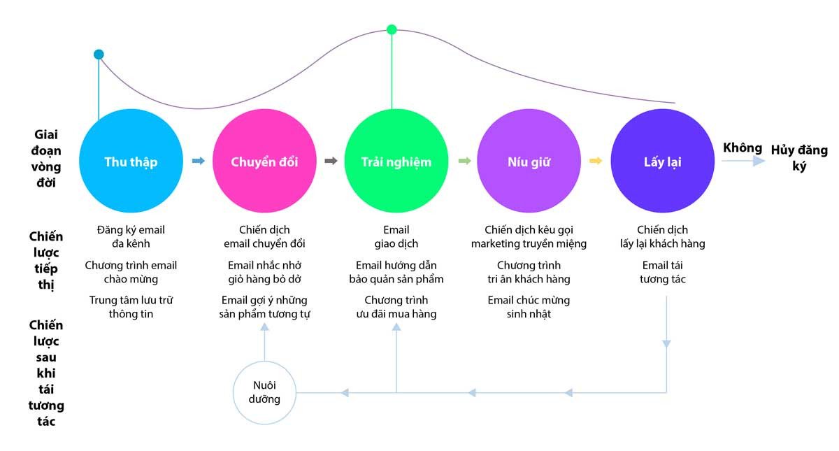 Chiến lược Email Marketing hiệu quả cho Shopify store