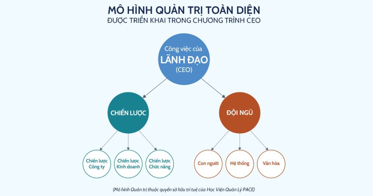 Đào tạo giám đốc điều hành thông qua chương trình phát triển lãnh đạo