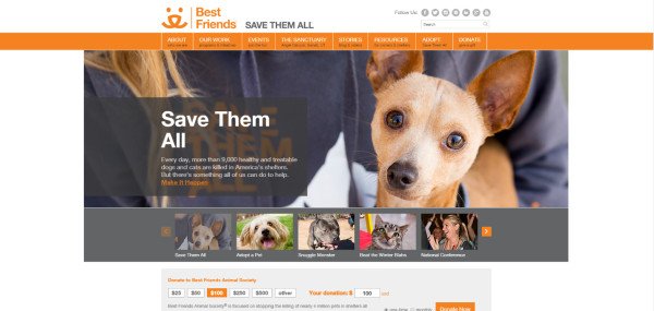 Hình ảnh chú chó đang kêu gọi sự đồng cảm trên trang của Best Friends Animal Society