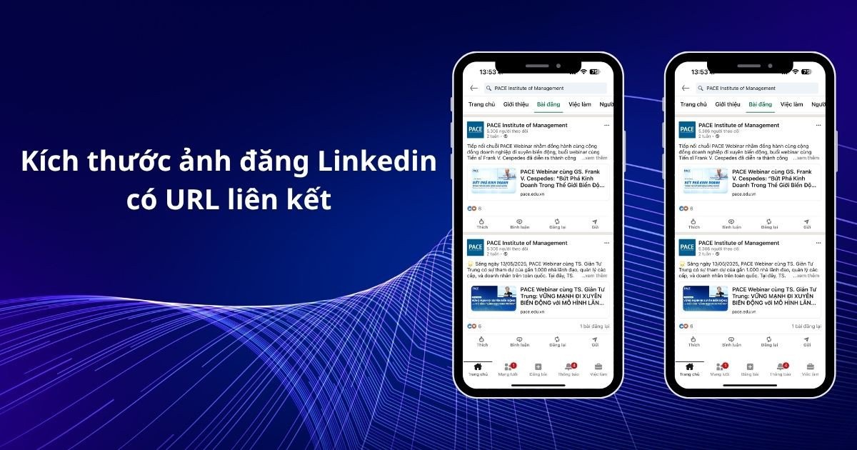 Hình ảnh kèm URL LinkedIn đúng kích thước