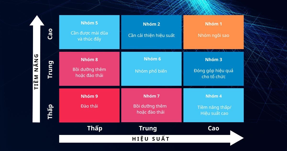 Kế hoạch hành động cụ thể cho từng nhóm nhân sự trong Ma trận 9 Box Grid