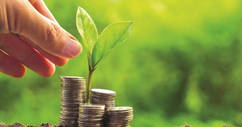 Khái niệm và định nghĩa trái phiếu xanh trong bối cảnh phát triển bền vững