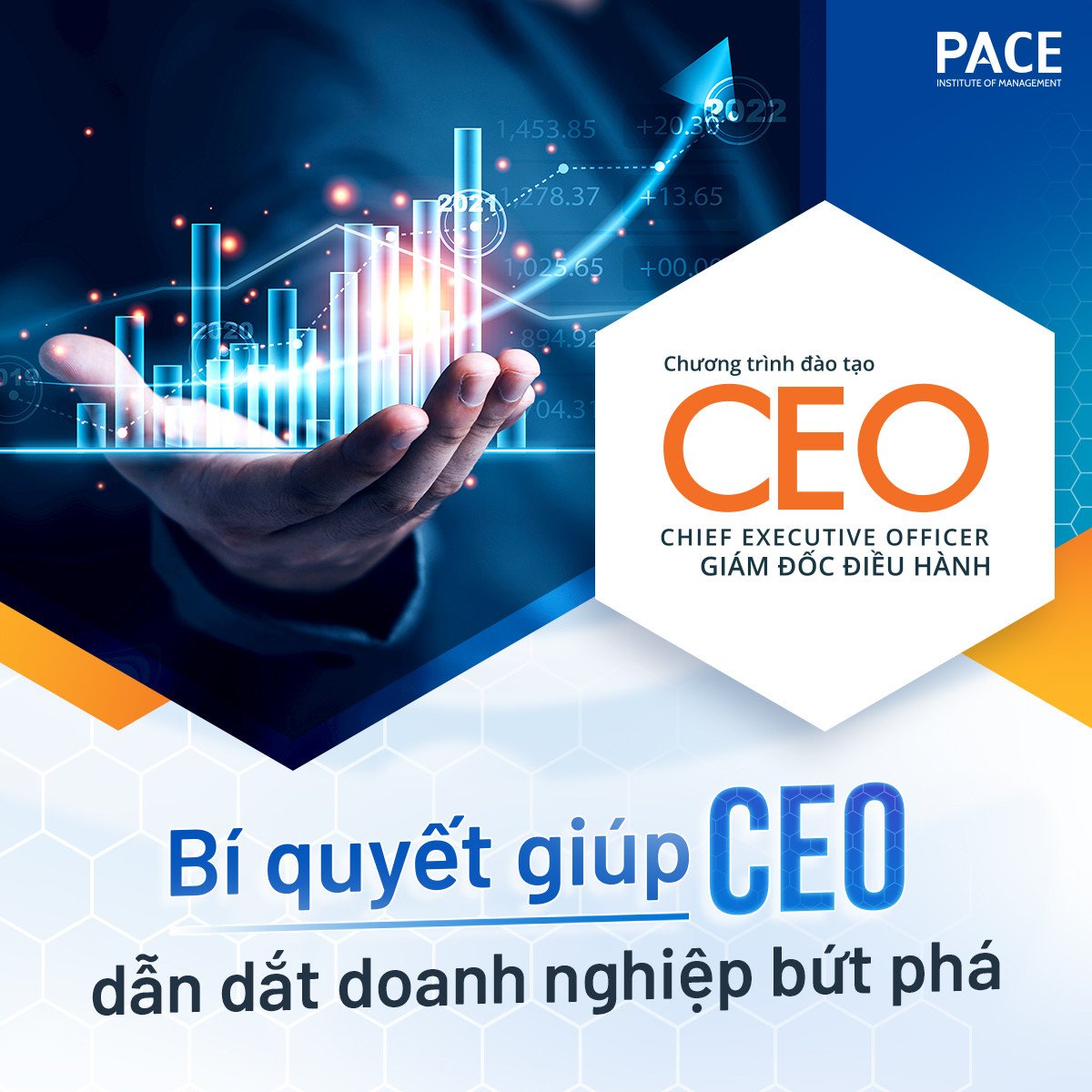 Khóa học Giám đốc Điều hành - CEO