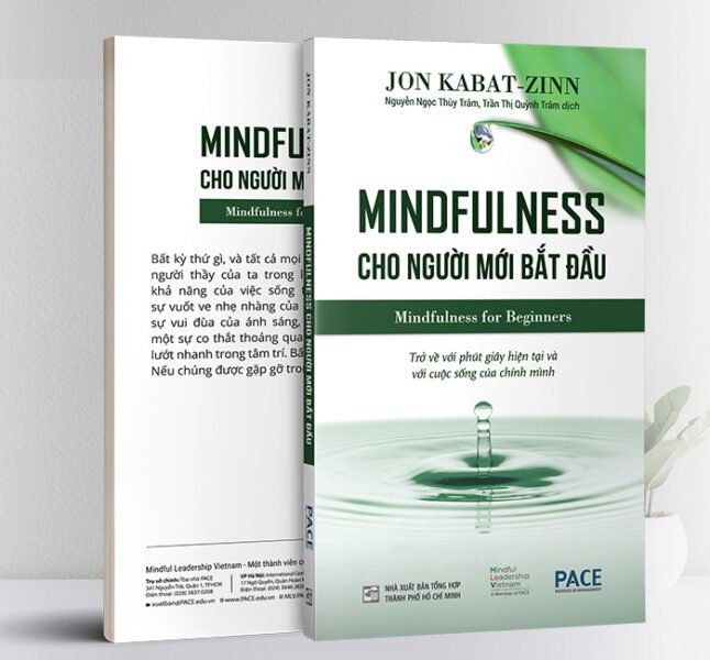 Lợi ích của Mindfulness cho người mới bắt đầu trong công việc lãnh đạo