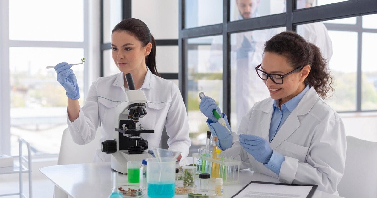 Minh họa các kỹ năng thiết yếu mà một chuyên gia Research và Development cần có để thành công