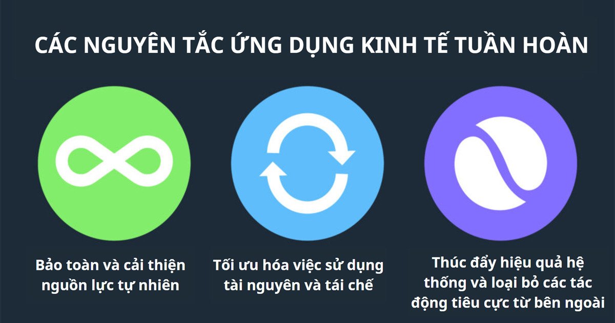 Nguyên tắc ứng dụng kinh tế tuần hoàn trong thực tiễn