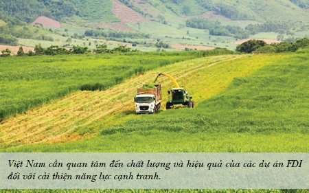 Nông nghiệp công nghệ cao và tiềm năng tối đa hóa giá trị gia tăng tại Việt Nam