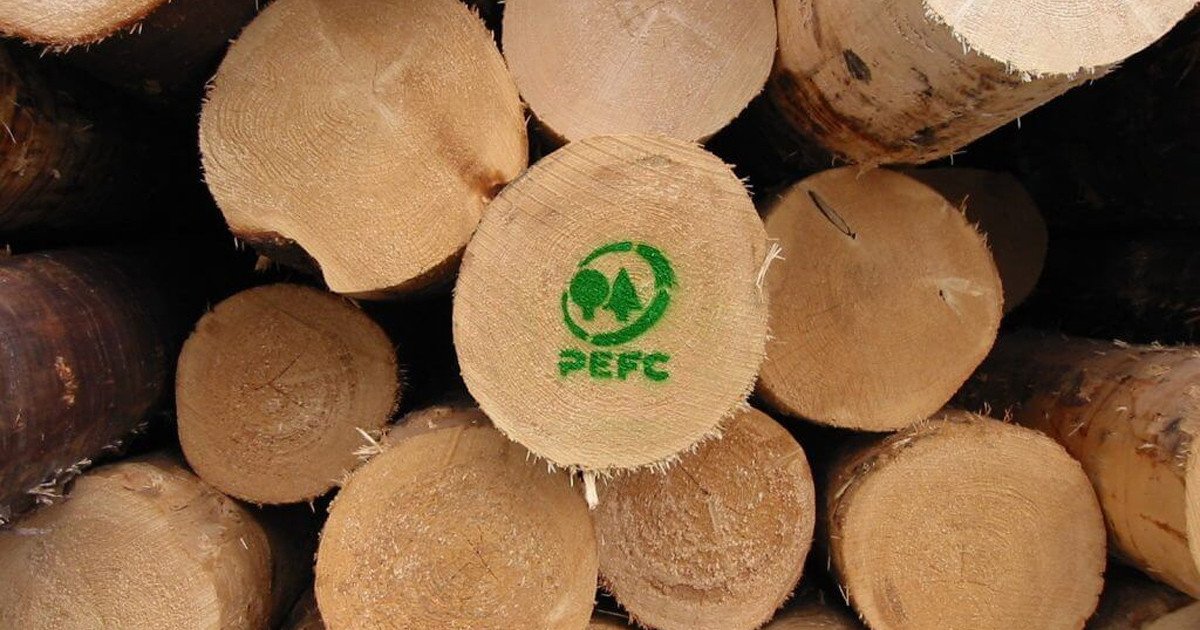 Phân loại 3 loại chứng chỉ rừng FSC chính: FSC-FM cho quản lý rừng, FSC-CoC cho chuỗi cung ứng, và FSC-CoC/CW cho gỗ được kiểm soát.