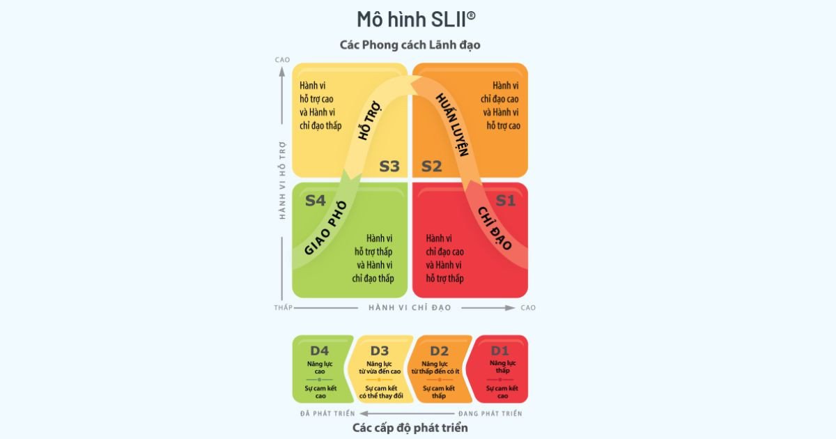 Phát triển kỹ năng lãnh đạo linh hoạt với mô hình SLII