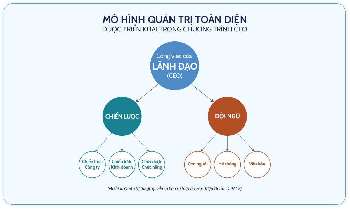 Sơ đồ cấu trúc một chương trình đào tạo giám đốc điều hành chuyên sâu