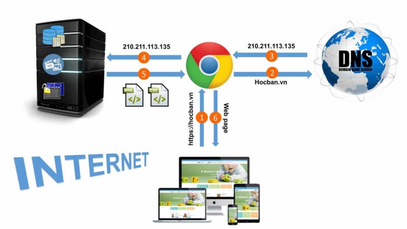 Sơ đồ minh họa cách tên miền hoạt động kết nối người dùng với website qua DNS