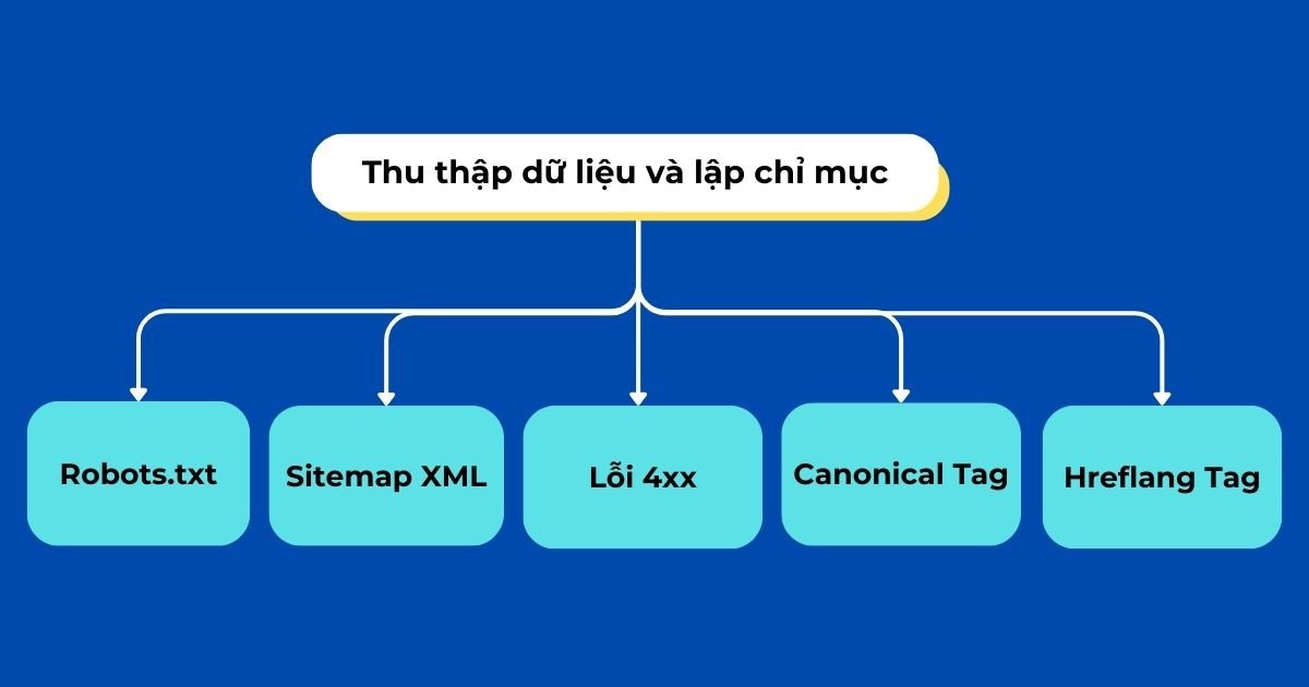 Sơ đồ minh họa quá trình thu thập dữ liệu và lập chỉ mục website của Googlebot