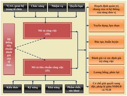 Sơ đồ minh họa vai trò của Bản Mô Tả Công Việc (JD) trong quản trị và phát triển tổ chức
