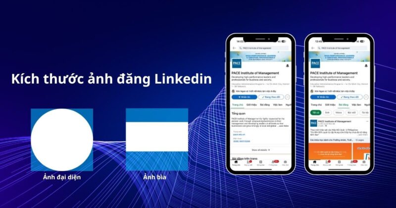 Tầm quan trọng của kích thước ảnh đăng LinkedIn
