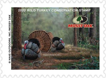 Tem bảo tồn gà tây hoang dã năm 2022 của Mossy Oak