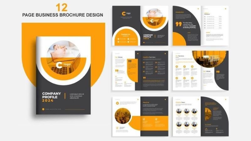 Tham khảo mẫu Company Profile hiện đại với bố cục sáng tạo