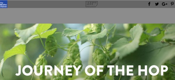 Trang web Journey of the Hop của Goose Island mô tả hành trình sản xuất bia từ hoa bia.