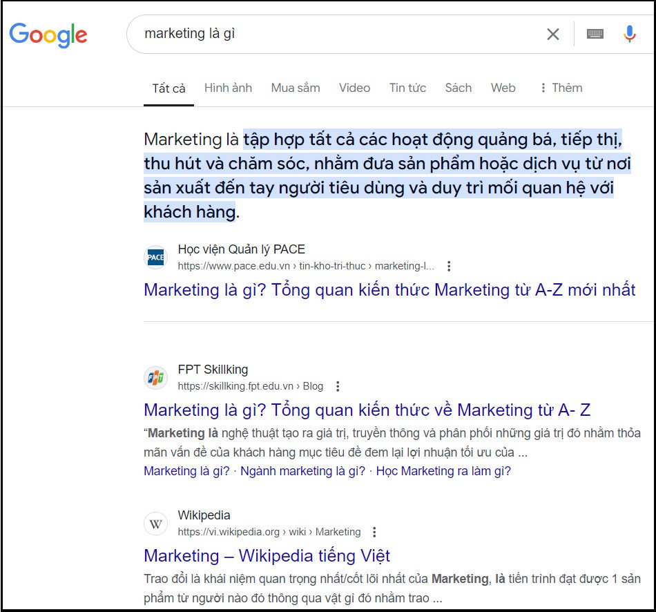 Ví dụ về kết quả tìm kiếm Google minh họa hoạt động của SEO