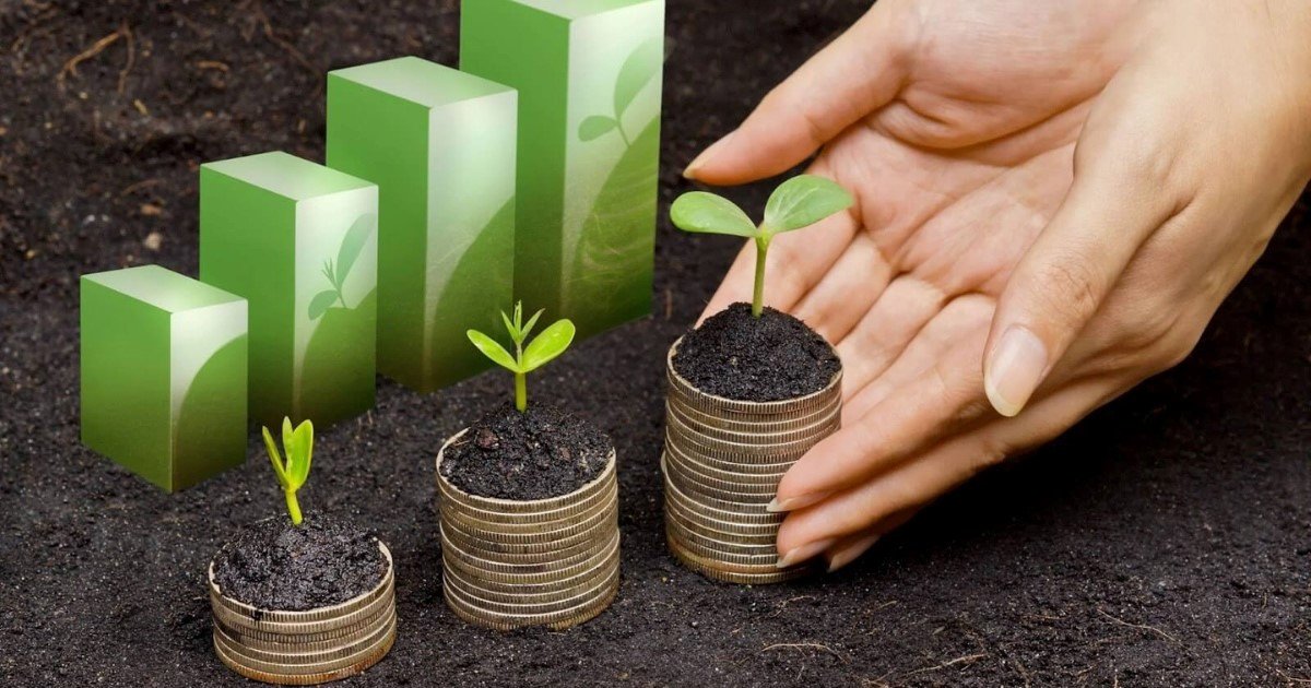 Vượt khó cho khởi nghiệp xanh