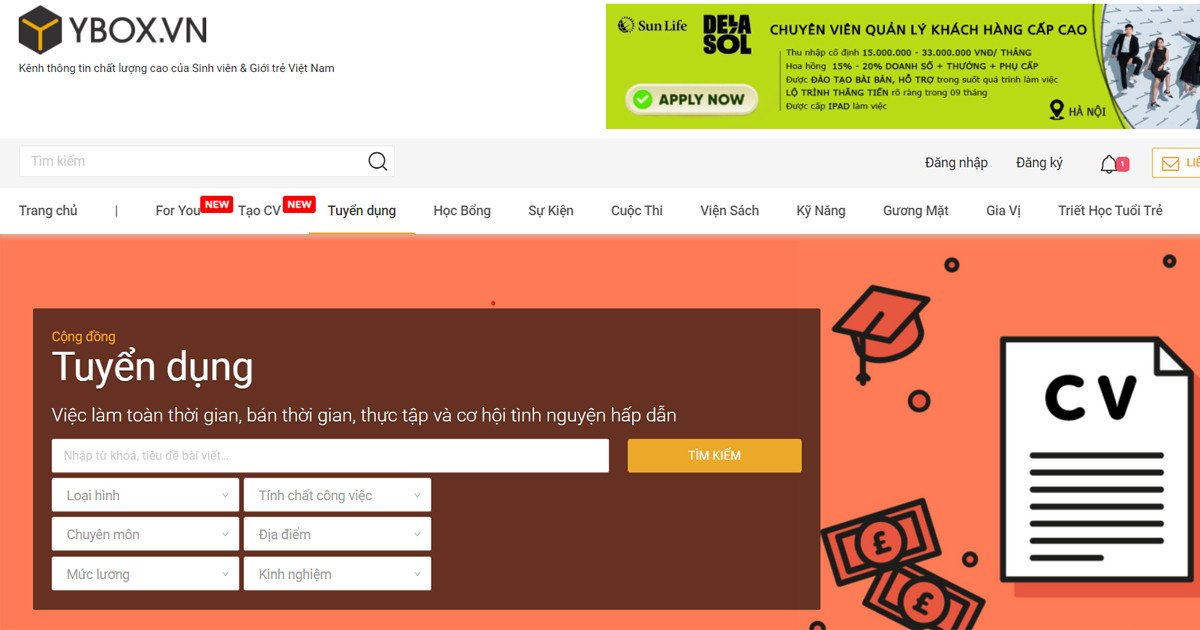 Ybox.vn, nền tảng thông tin và cơ hội việc làm đa dạng dành cho sinh viên và giới trẻ.
