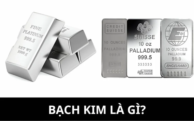 Giá Bạch Kim 2026: Dự Báo, Phân Tích và Cơ Hội Đầu Tư Bạch kim có nhiều ứng dụng công nghiệp