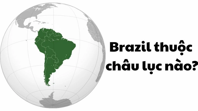 Brazil Thuộc Châu Lục Nào? Khám Phá Vị Trí Địa Lý & Đặc Điểm Nổi Bật Bản đồ Brazil tại Nam Mỹ