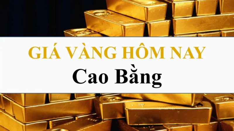 Giá Vàng Kim Tín Cao Bằng Hôm Nay: Phân Tích Chi Tiết 2026 Biến động giá vàng tại Cao Bằng