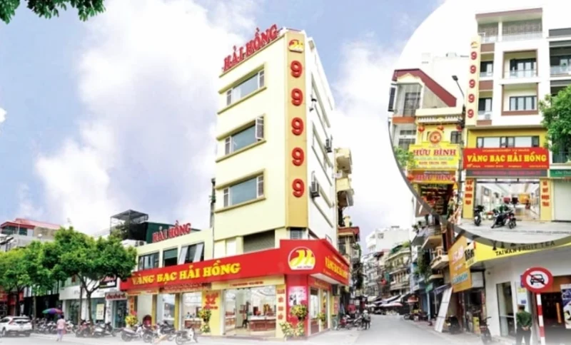 Vàng Bạc Hải Hồng: Định Hướng Đầu Tư Thông Minh 2026 Biểu đồ biến động giá vàng