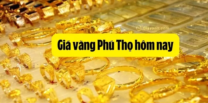 Giá Vàng Nam Thành Việt Trì Hôm Nay: Cập Nhật Mới Nhất 2026 Biểu đồ giá vàng biến động