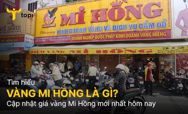 Cập Nhật Giá Vàng Tiệm Vàng Mi Hồng Mới Nhất 2026 Biểu đồ giá vàng biến động