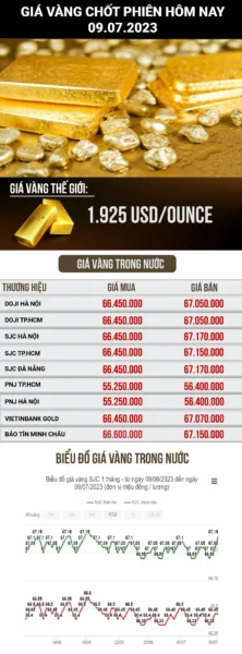 Giá Vàng Quy Nhơn 2026: Dự Báo, Phân Tích Và Địa Điểm Mua Bán Uy Tín Biểu đồ giá vàng hôm nay
