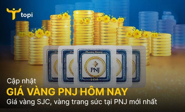 Biểu đồ giá vàng PNJ