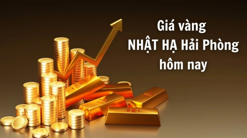 Giá Vàng Nhật Hạ Hải Phòng Hôm Nay 2026: Cập Nhật Mới Nhất Cập nhật giá vàng Nhật Hạ Hải Phòng hôm nay