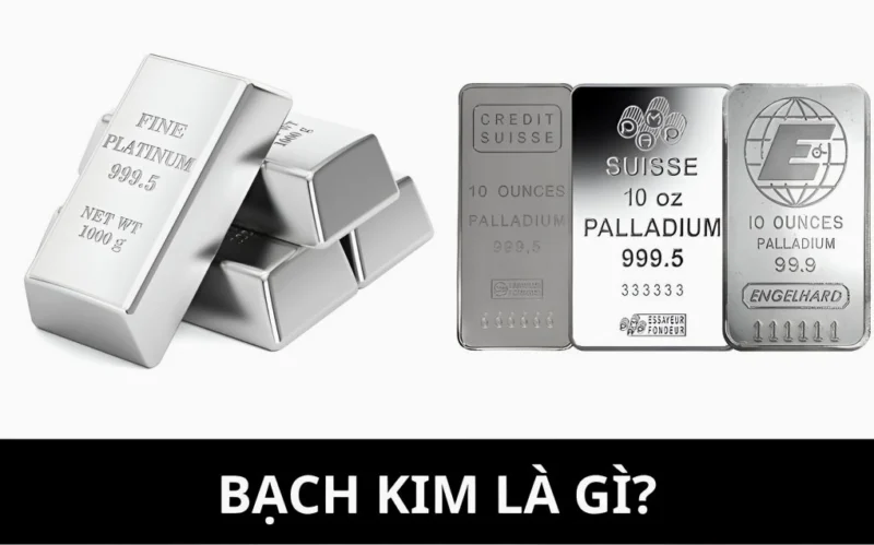 gia-bach-kim-hom-nay-phan-tich-chi-tiet-va-du-bao-2026_745