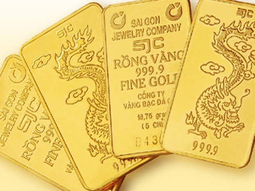 gia-vang-nam-2010-bien-ong-va-du-bao-tuong-lai_335