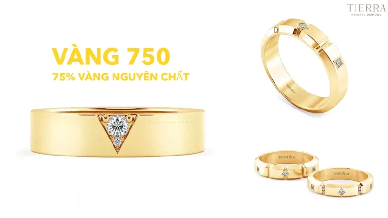 Giá Vàng 750 Năm 2026: Dự Báo Xu Hướng Và Phân Tích Chuyên Sâu So sánh vàng 750 và vàng 18K