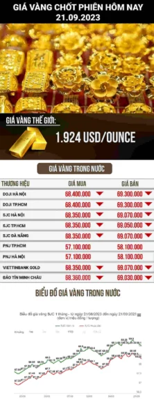 Giá Vàng Kim Chung 2026: Dự Báo Xu Hướng & Phân Tích Chuyên Sâu Trang sức vàng Kim Chung tại Thanh Hóa